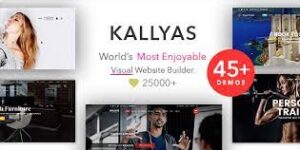 KALLYAS - Creative eCommerce Multi-Purpose WordPress Theme
