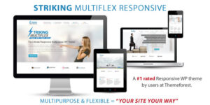 Striking - MultiFlex & Ecommerce Responsive WP Theme