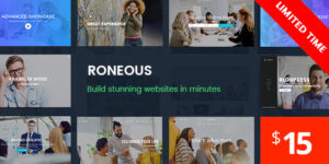 Roneous - Creative Multi-Purpose WordPress Theme