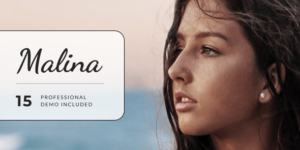 Malina - Personal WordPress Blog Theme