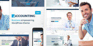 Accounting - Business, Consulting and Finance WordPress theme