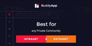 BuddyApp - Mobile First Community WordPress theme