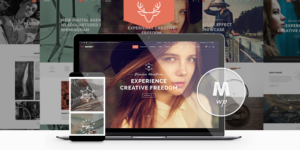 Moose - Creative Multipurpose Theme