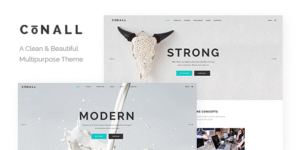 Conall - Clean Multipurpose WordPress Theme