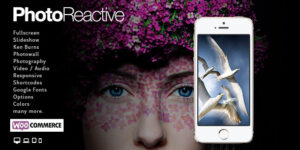 PhotoReactive | WordPress Theme